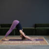 Hasta-Padasana
