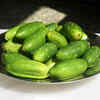 Ivy Gourd (Kundru)
