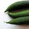 Article image for: <i class="tbold">ridge gourd</i> (Ban Turai)