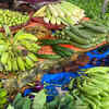 Types of gourds