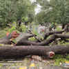 Photos: Heavy rain leaves damage trail in Delhi, Noida