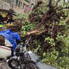 Heavy rain leaves damage trail in Delhi, Noida
