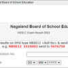 NBSE Class 12th or HSSLC result 2022, direct link