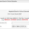 NBSE Class 10th or HSLC result 2022, direct link