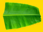 ​How to store banana leaves