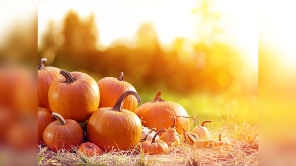 Pumpkin