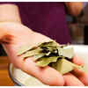 ​Is it safe to add bay leaves to meals?