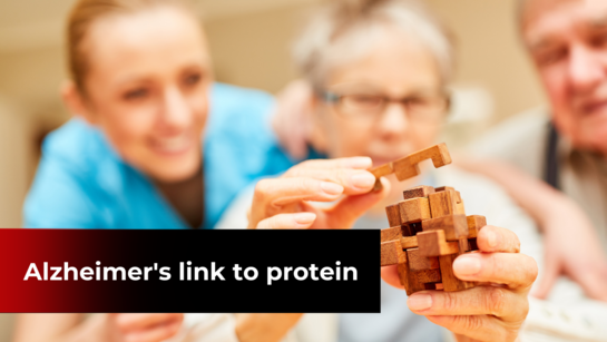 Reduced risk of Alzheimer's disease linked to target protein for diabetes, as per a study
