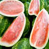 Watermelon Namdhari