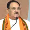 Article image for: Policies, programs implemented on ground in Modi regime: JP Nadda