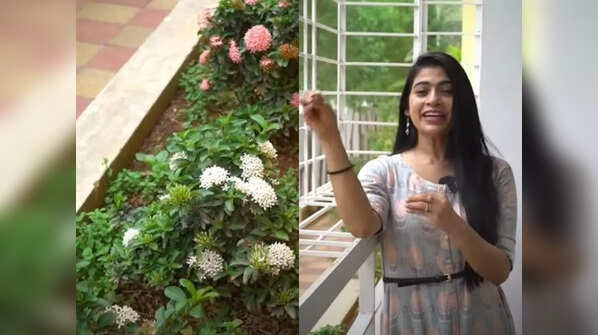 Kajal