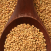 Article image for: <i class="tbold">fenugreek</i>