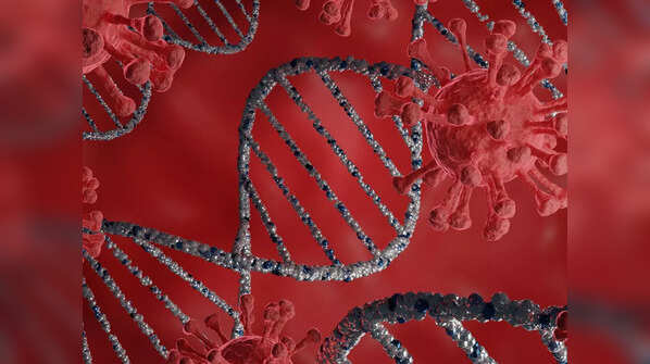 The role of genetics in determining severe COVID-19 risks