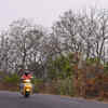 Nature drying