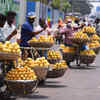 King of fruit