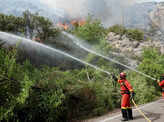 Wildfires ravage woods as heatwave continues to hit Spain
