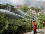 Wildfires ravage woods as heatwave continues to hit Spain