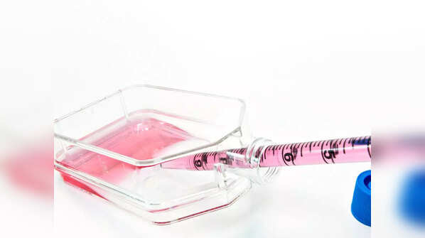 How does this new T cell testing work