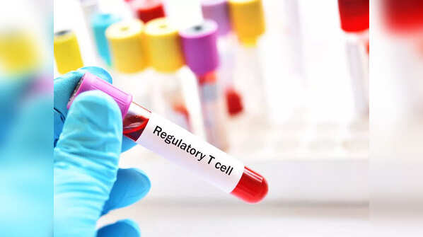 Role of T cell