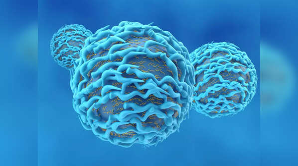 Can you tell if you have immunity against COVID-19