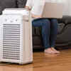 Article image for: Use <i class="tbold">air purifiers</i>
