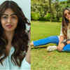 <i class="tbold">shafaq naaz</i>