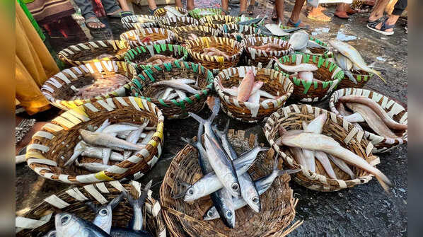 Kasimedu fishing harbour abuzz with seller