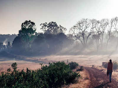 where the ocean meets desert: 5 most magical places on earth!