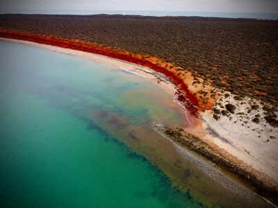 where the ocean meets desert: 5 most magical places on earth!