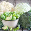 brassica