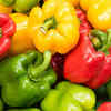 Bell Peppers