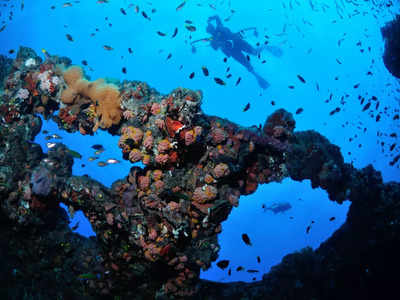 The best scuba diving spots in the world