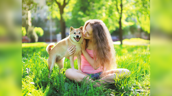 Pets also get sunburns