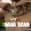 Article image for: Check Out Latest Trending Hindi Music Video 'Shana Bann' Sung By Mc StΔn