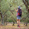 Backward running
