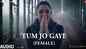 Jug Jugg Jeeyo | Song - Tum Jo Gaye (Audio Song)