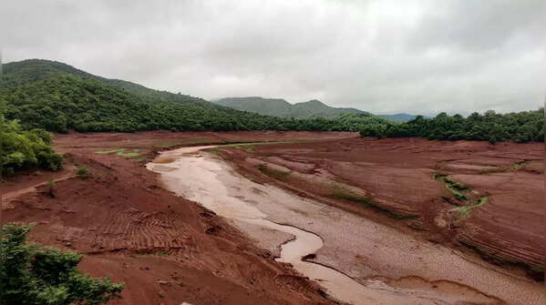 Photos: Shiv Sena crisis raises hopes of Eknath Shinde's village