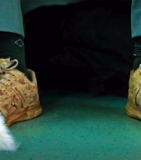 Laal Singh Chaddha', the Indian adaptation of the Hollywood movie 'Forrest Gump'