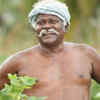 'Neerparavai'