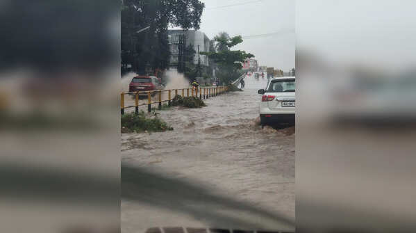 Heavy rains lash Karnataka's coastal districts