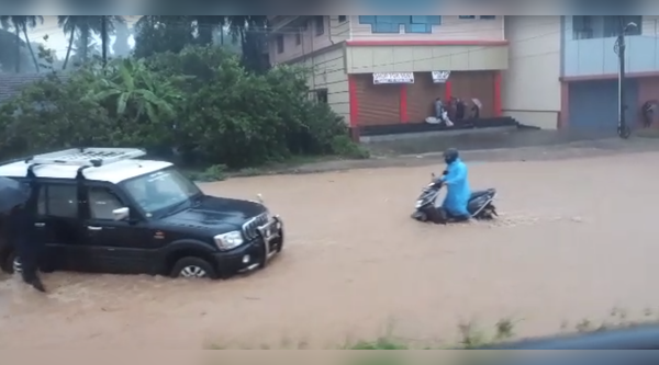 Heavy rains lash Karnataka's coastal districts