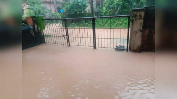 Heavy rains lash Karnataka's coastal districts