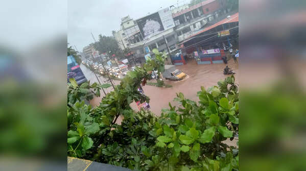 Heavy rains lash Karnataka's coastal districts