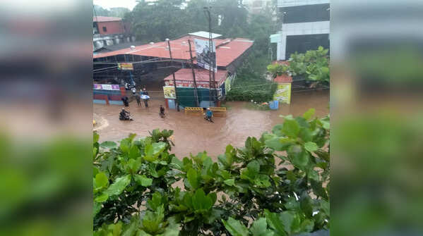 Heavy rains lash Karnataka's coastal districts