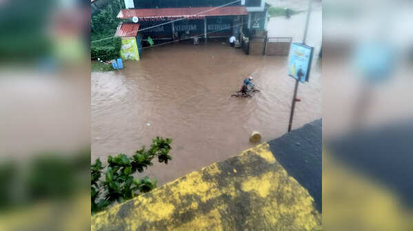 Heavy rains lash Karnataka's coastal districts