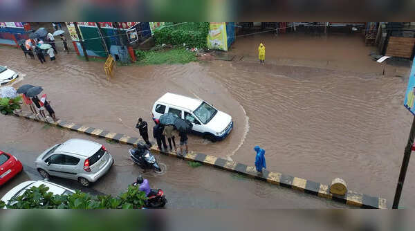 Heavy rains lash Karnataka's coastal districts