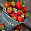 Place some cocoa beans and strawberries around