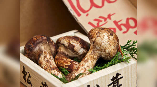 Matsutake Mushrooms
