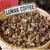 Kopi Luwak