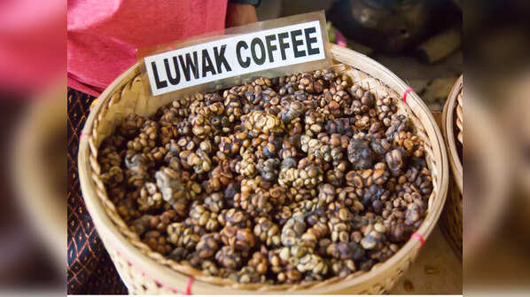 Kopi Luwak